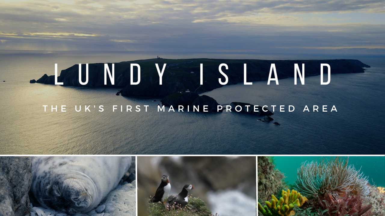 New film about Lundy Island and the UK’s first Marine Protected Area