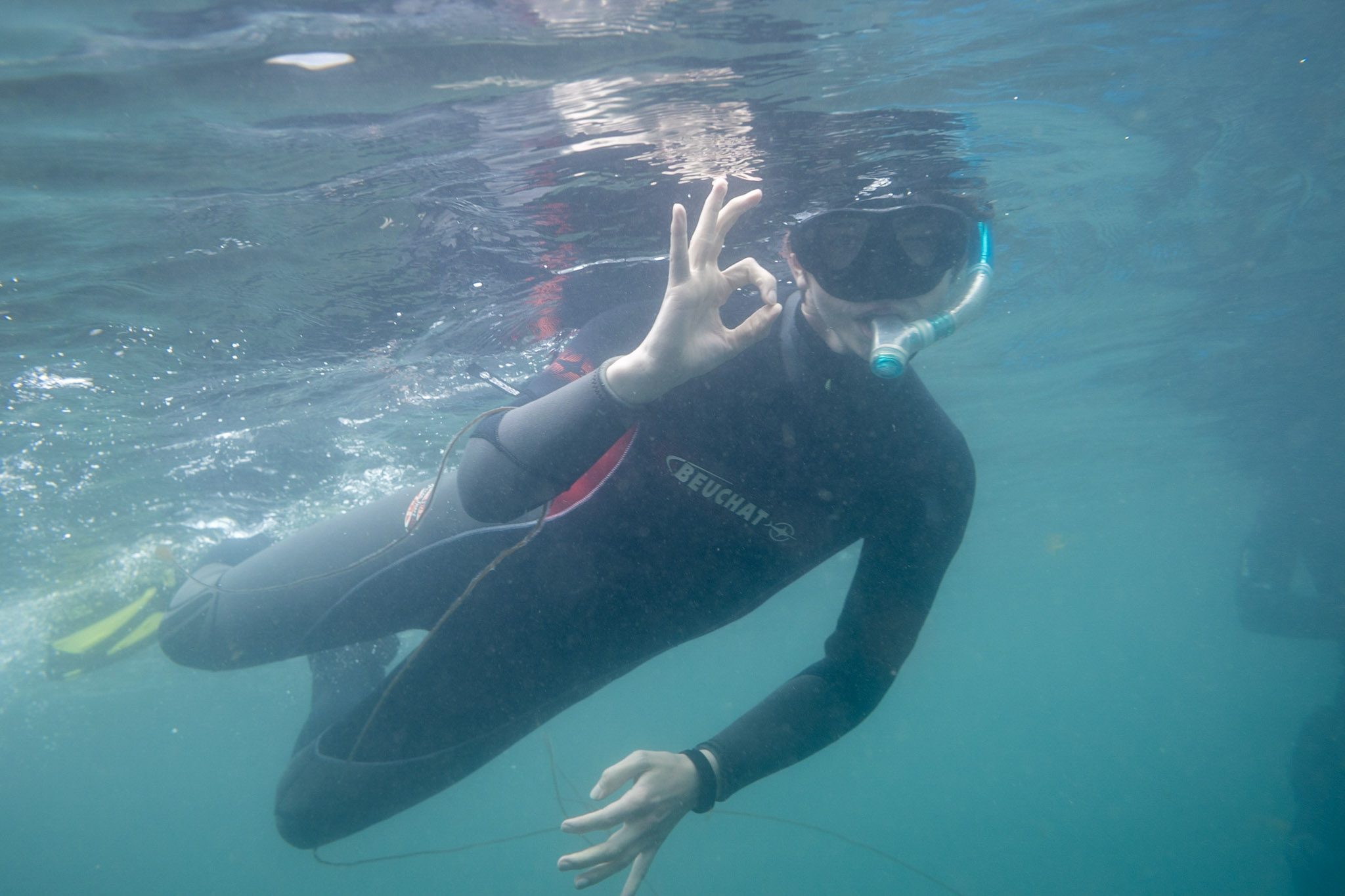 lundy island snorkelling trip