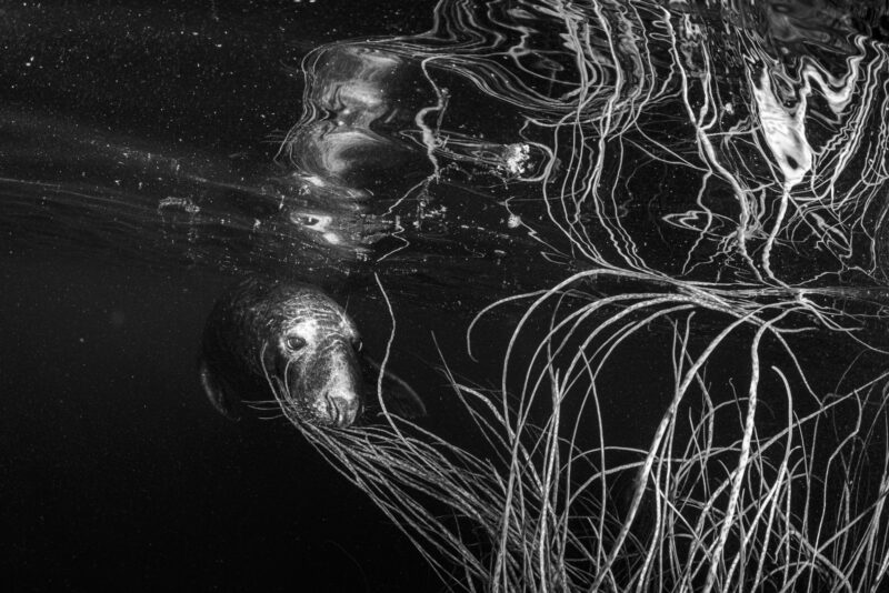 Gabe Hearnshaw Photography Scholarship – Now open for Nominations