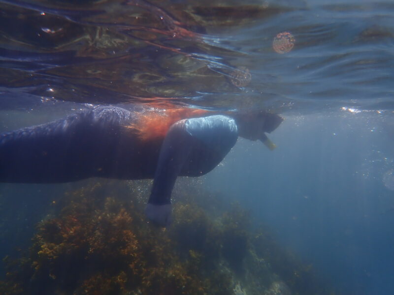 Young snorkel