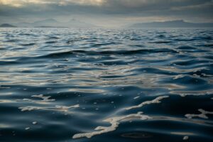 Proud to be Members of the Our Seas Coalition