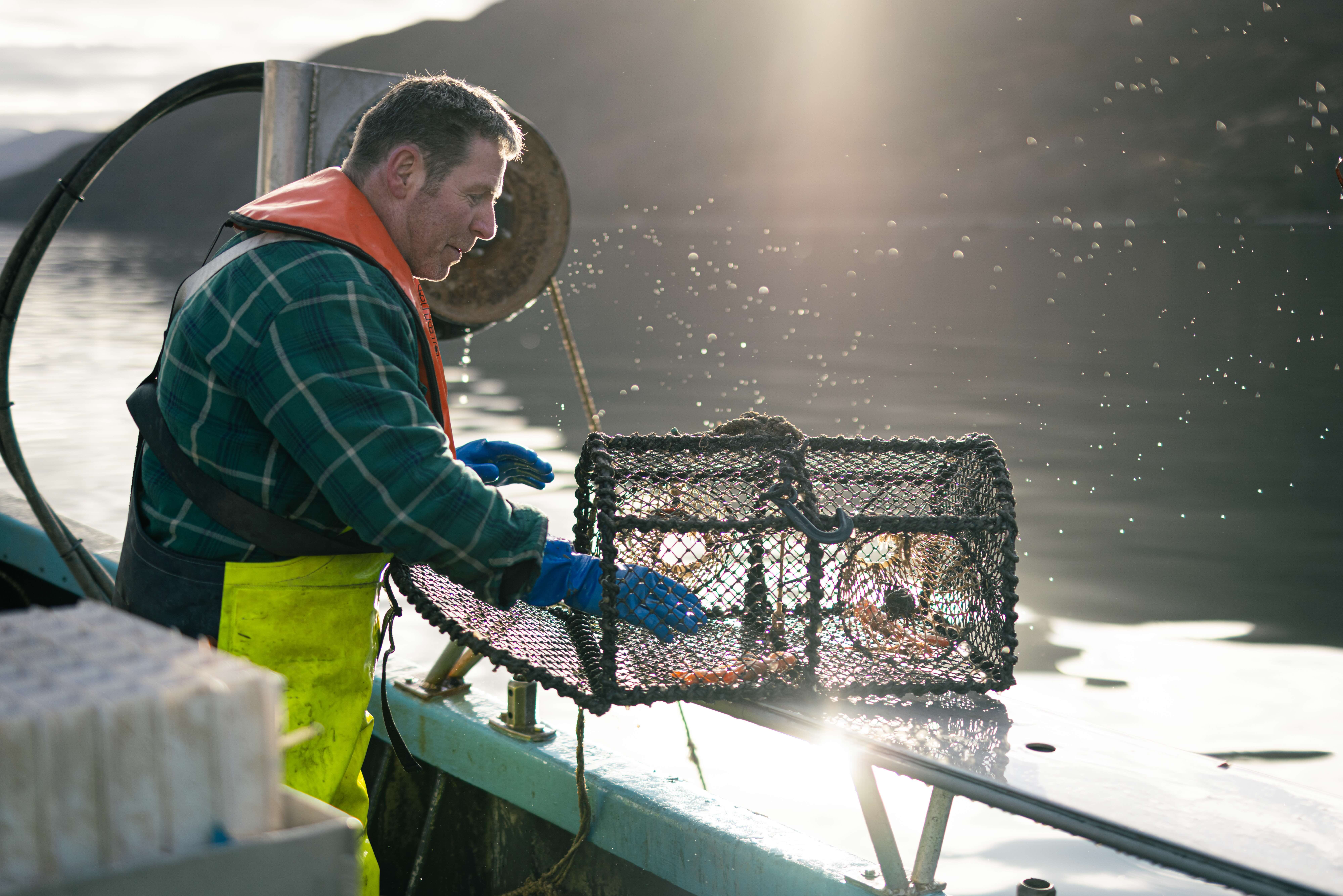 Bally opening a bait box