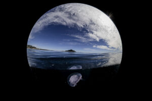 April Is Earth Month, But What Does That Mean?