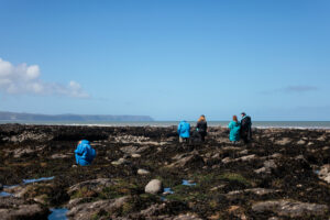 Introducing land snorkelling: our latest Vitamin Sea activity