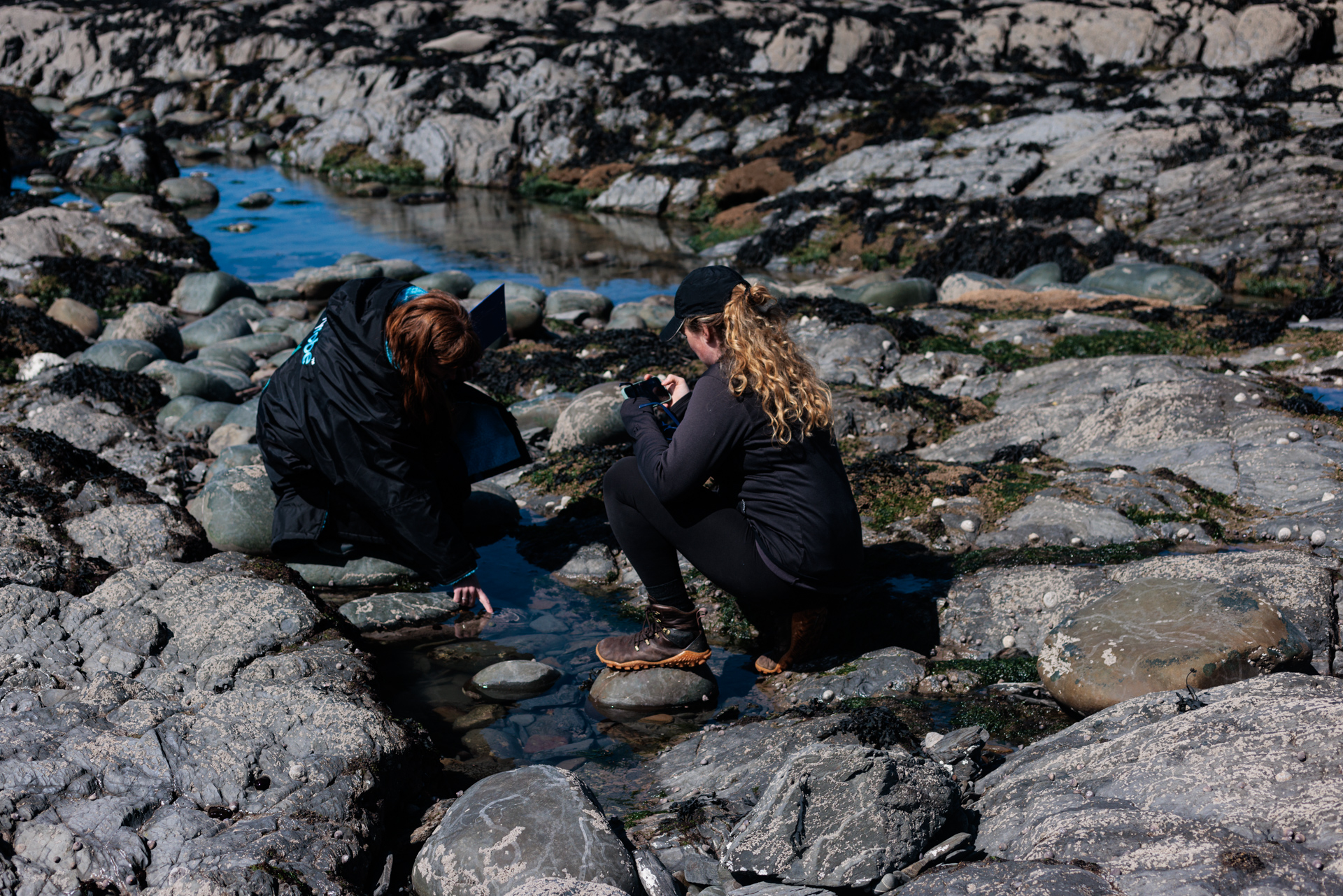 One woman shows another woman a small creature in a rockpool