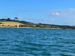 Ocean Citizen Update: Silas and Puffin Sailing