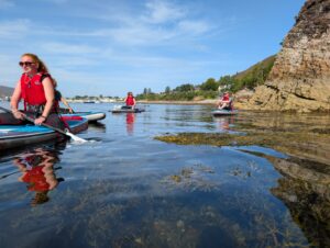 Three women kneel peacefully on paddleboards on calm water with seaweed visible beneath the surface.