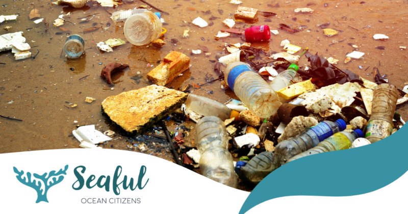 An Ocean Citizen’s guide to ocean pollution